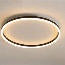 Romantic Personalized Ceiling Light – Modern Study & Bedroom Lighting